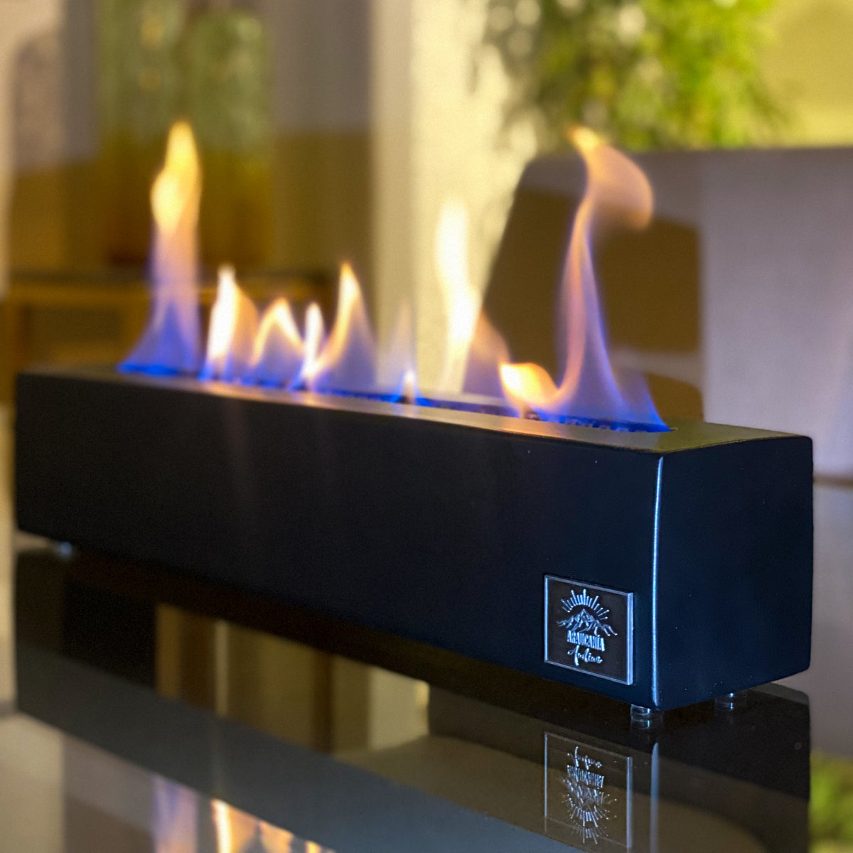 Fogones Ecológicos Linea Industrial