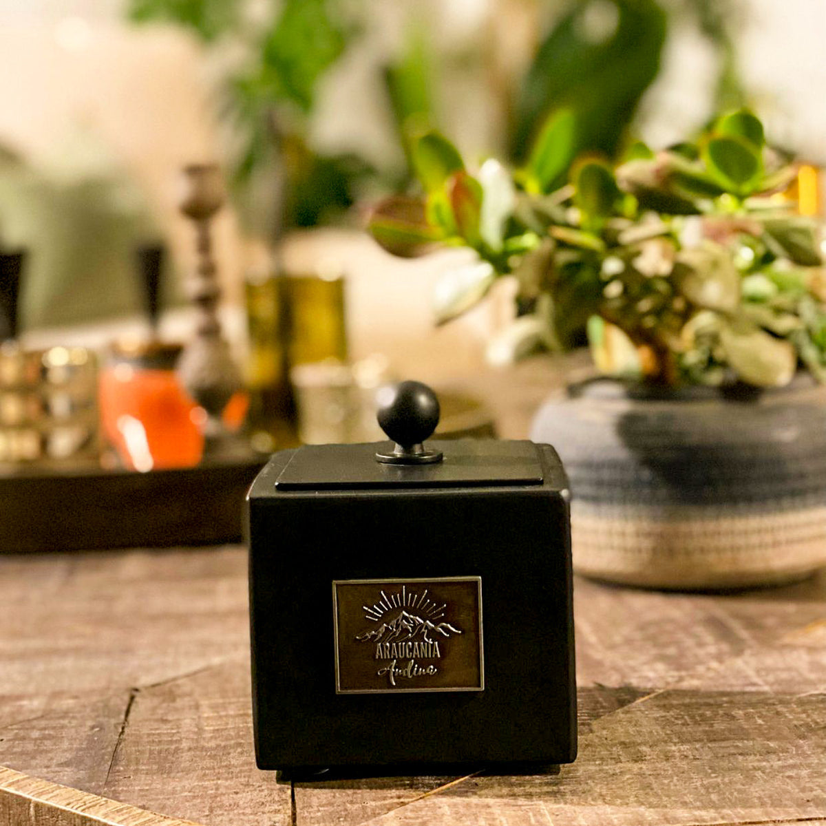 Fogón Cubo (Linea Industrial)