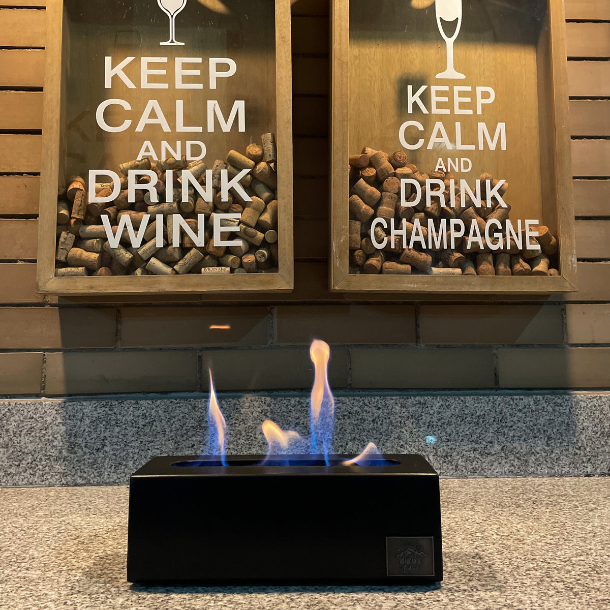 Fogones Ecológicos Linea Industrial