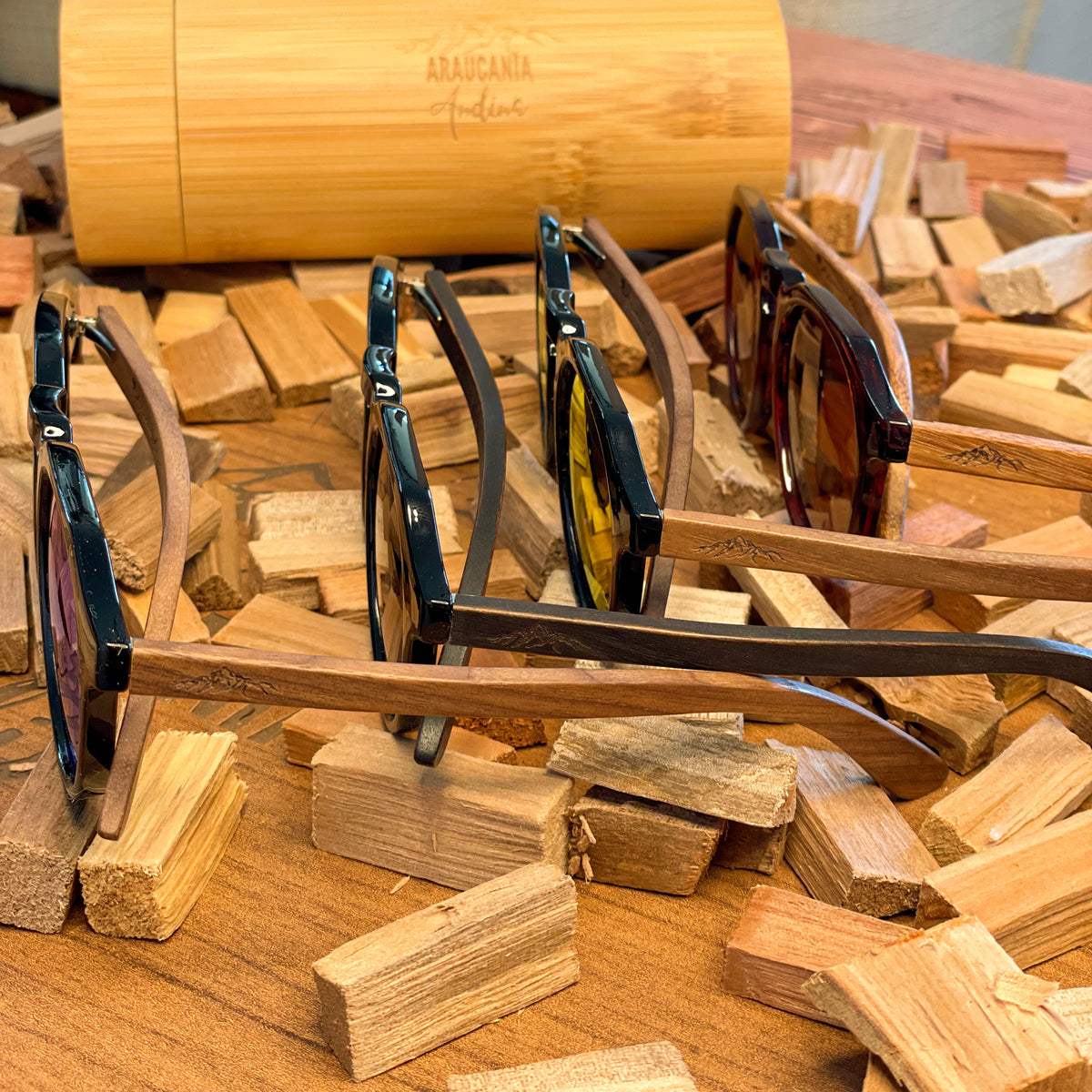 Lentes de sol modelo Aliwen